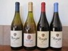 Special Sampler Case! Save 25%